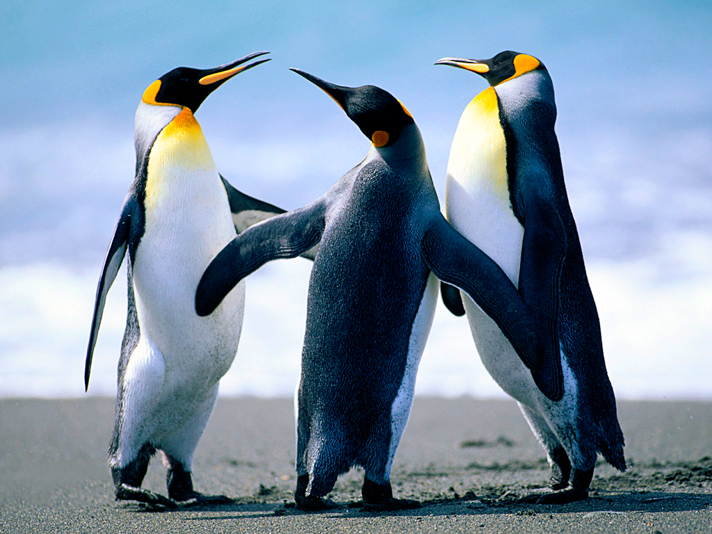 You are currently viewing OpenStation Blog: Drag, Drop, Preview: How a Post Gets Written in OpenStation